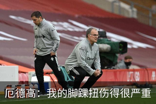 厄德高：我的脚踝扭伤得很严重